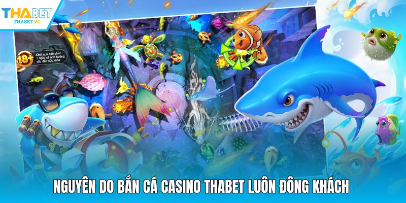 Nguyên do bắn cá casino THABET luôn đông khách