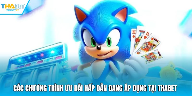 Các chương trình ưu đãi hấp dẫn đang áp dụng tại THABET